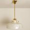 Flower Pendant Lamp from Hillebrand, Europe, Germany 11