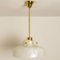 Flower Pendant Lamp from Hillebrand, Europe, Germany, Image 11