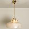 Flower Pendant Lamp from Hillebrand, Europe, Germany 2