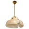 Flower Pendant Lamp from Hillebrand, Europe, Germany 1