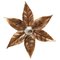 Belgian Brass Flower Leaf Sconce in the Style of Willy Daro, 1970s, Image 2
