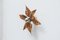 Belgian Brass Flower Leaf Sconce in the Style of Willy Daro, 1970s, Image 3