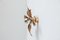 Belgian Brass Flower Leaf Sconce in the Style of Willy Daro, 1970s 4