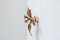 Belgian Brass Flower Leaf Sconce in the Style of Willy Daro, 1970s, Image 4