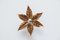 Belgian Brass Flower Leaf Sconce in the Style of Willy Daro, 1970s, Image 7