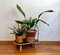 Mid-Century Plant or Flower Stand in Bamboo, Image 2