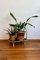 Mid-Century Plant or Flower Stand in Bamboo, Image 4