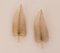 Feather Sconces from Seguso, Set of 2 6