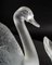 French Swan Sculpture from Lalique 8