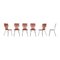Vintage Chairs by Carlo Ratti, 1950s, Set of 6 1