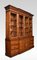 George III Style Mahogany Breakfront Library Bookcase 10