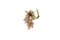 Orecchini a clip in corallo rosa e oro giallo 18 carati, set di 2, Immagine 4