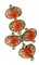 Boucles d'Oreilles Diamant, Fleur de Corail Rouge et Or Blanc 14 Carats, Set de 2 2