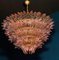 Lampadario a forma di palma in vetro di Murano rosa, Immagine 13