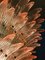 Lustre Palmette en Verre de Murano Rose 8