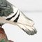 Figura tradizionale in gesso di 2 colombe, anni '50, Immagine 16