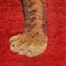 Chinesischer handgeknüpfter Pao Tou Tiger Teppich aus Wolle, 1900 8