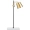 Brass Porcelain and Steel Lab Table Light Lamp by Anatomy Design, Image 1