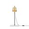 Brass Porcelain and Steel Lab Table Light Lamp by Anatomy Design 3