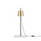 Brass Porcelain and Steel Lab Table Light Lamp by Anatomy Design 4