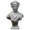 Italian School Artist, Woman with Veil and Crown of Flowers, Late 19th Century, Carrara Marble Bust, Image 1