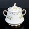 Tea Service by T. Haviland Limoges & L. Beltrami, Set of 28 4