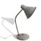 Industrial Style Grey Aluminium Goose Neck Adjustable Desk Lamp, 1970s 1