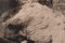 D'après Pierre Bonnard, Femme à Coudre, 20ème Siècle, Graphite Noir sur Papier, Encadré 6