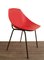 Coquillage Chair by Pierre Guariche for Meurop, 1960s 1