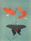 Morikazu Kumagai, Tiger Lily and a Swallowtail Butterfly, 1964, Litografía sobre papel Arches, Imagen 1