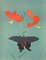 Morikazu Kumagai, Tiger Lily and a Swallowtail Butterfly, 1964, Litografia su carta Arches, Immagine 1