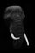 Ethan Bjerke / Eyeem, Primer plano de elefante sobre fondo negro, papel fotográfico, Imagen 1