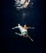 Henrik Sorensen, 2 ballerini subacquei, carta fotografica, Immagine 1