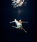 Henrik Sorensen, 2 Ballet Dancers Underwater, Photographic Paper 1