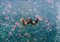 Hollie Fernando, Diving Into Pink Flowers, Photographic Paper, Image 1