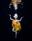 Henrik Sorensen, Ballet Dancer Underwater, Fotopapier 1