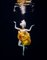 Henrik Sorensen, Ballet Dancer Underwater, Photographic Paper, Image 1