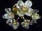 Brass Light with Ice Glass Flowers from Mazzega, 1960s 2