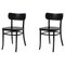 Mzo Chairs by Mazo Design, Set of 2 1