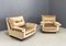 Armchairs by Marco Zanuso, 1960s, Set of 2 1