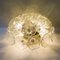 Flowerball Sputnik Sconce by Paolo Venini for Veart, 1960s 3