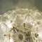 Flowerball Sputnik Sconce by Paolo Venini for Veart, 1960s, Image 10
