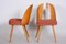 Mid-Century Czechian Chairs by Antonín Šuman, 1950s, Set of 2, Image 3