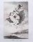 Francisco Goya, There Và Eso Caprichos, Grabado original, 1799, Imagen 1