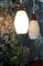 Dänische Deckenlampe aus Opalglas & Teak 7
