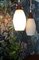 Danish Opal Glass and Teak Ceiling Lamp, Image 7