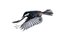 Jose A. Bernat Bacete, Nahaufnahme von Tannenmeise (Periparus Ater) Kohlmeise im Flug mit offenen Flügeln auf weißem Hintergrund, Fotopapier 1