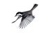 Jose A. Bernat Bacete, Close-Up of Tannenmeise (Periparus Ater) Coal Tit, in Flight on a White Background, Photographic Paper 1