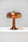 Vintage Acrylic Glass Table Lamp by Hans-Agne Jakobsson, Sweden, 1960s, Image 2