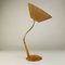 Table Lamp from Temde, 1950s 6
